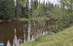 8854 River Road, Angora, MN 55703
