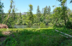 Goodpasture Rd, Vida, OR 97488