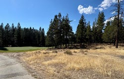 202 Morning Star lot: 368, Portola, CA 96122