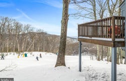 142 SQUIRREL TREE Lane, ROSELAND, VA 22967