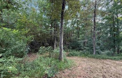 0 Co Rd 1606, Cullman, AL 35058
