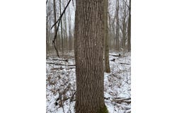 W Copeland Road, Bronson, MI 49028