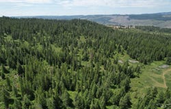 Sickfoot Road, Wallowa, OR 97885