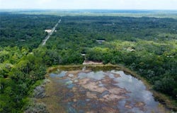 35034 Batesfield Street, Webster, FL 33597