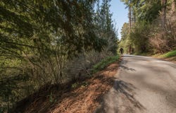 Lot 26 Lakeview AVE, FELTON, CA 95018