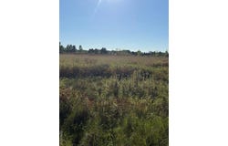 00 WINDMILL-PARCEL 4 WINDMILL LANE, Imlay Twp, MI 48444