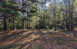 4809 LAUREL TRACE lot: 7, ANNISTON, AL 36207