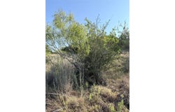 TBD Tract N25 PR 2902, Hamilton, TX 76531