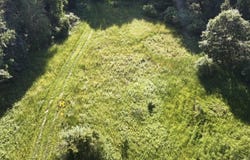 V/L Woods Road, Sidney, MI 48885