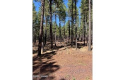 tbd-2 dynamite, Lakeside, AZ 85929