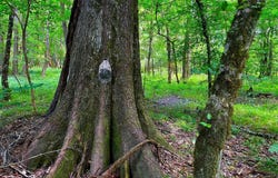 Perrytown Road, Crosby, MS 39633