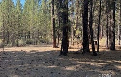 Green Forest Dr, Chiloquin, OR 97624