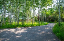 33 Highway 308, Red Lodge, MT 59068