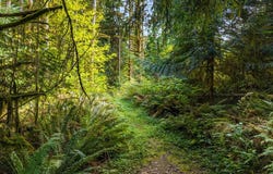 71990 HUTCHINSON Rd, Rainier, OR 97048