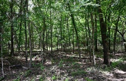 56 E1750 Rd, Coalgate, OK 74538