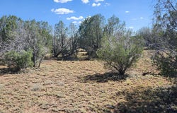 2901 N Cienega Drive, Ash Fork, AZ 86320