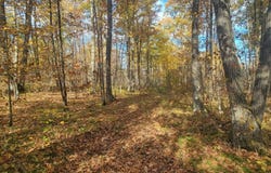 32147 30th Avenue, Isle, MN 56342