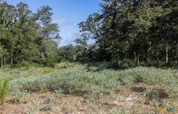 180 Autumn Oak Ct, Caldwell, TX 77836