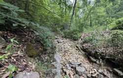 State Highway Dd, Seligman, MO 65745