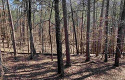 17 Southridge Drive, Mount Ida, AR 71957