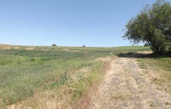 E A St, Rosalia, WA 99170