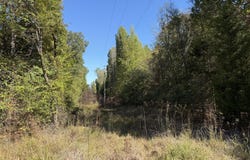Brownlee Road, Senatobia, MS 38668