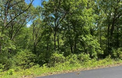 Mule Barn Drive, Cape Fair, MO 65624
