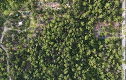 14TH TRACE, Live Oak, FL 32060