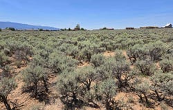 Wanda Drive lot: 2A 3, El Prado, NM 87529