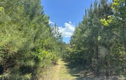 County Road 1101 County Road 1101, Shady Grove, AL 36035