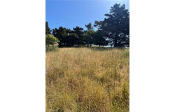 Pierce, Cambria, CA 93428