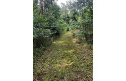 211 Waters Court, Walterboro, SC 29488