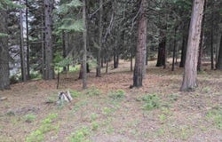 260 Osprey Loop, Lake Almanor West, CA 96020