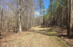 Highway 82 E, Centreville, AL 35042