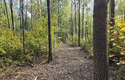 5 National Trail, Crandon, WI 54520
