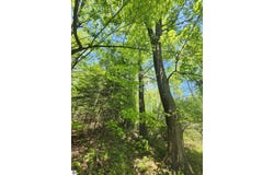 0 Rose Circle, Lupton, MI 48635