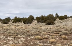 084a Ravens Rest Road, Seligman, AZ 86337