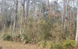 0 Veterans Drive, Thomaston, GA 30286