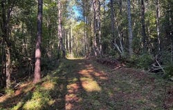 Highway 34, Chappells, SC 29037