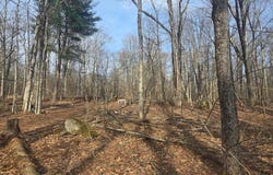 8 Starlight Drive, Monticello, NY 12701