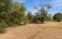 600 Johnson, Waco, TX 76705