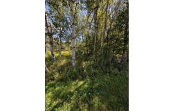 L19.12 South St, Windham, NY 12496