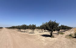 Road 30, Alpaugh, CA 93201