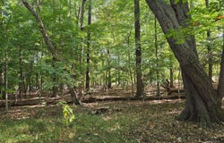 New Cut Road, Bowling Green, KY 42103