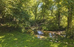 9067 Twin Falls Road, Copper Hill, VA 24079