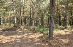 189 Evergreen Drive, DOVER, TN 37058