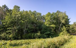 2.97 Acres Lot 8, Block 1 Nature Trail, Crosby, MN 56431