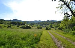 275 Old Us 219 Rd, Buckeye, WV 24924