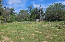 CR 322, Milano, TX 76556
