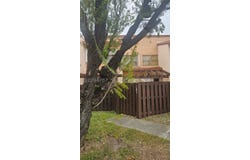 445 W Park Dr, Miami, FL 33172